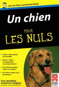 Cover of Un chien pour les nuls