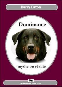 Cover of Dominance, mythe ou réalité
